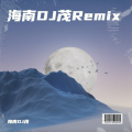 真英雄 (海南DJ茂 remix)