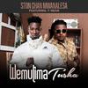 Ston Chan Mwanalesa - WemutimaTusha (feat. T-Sean)