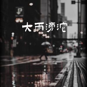 苏星婕 - 大雨滂沱(伴奏)