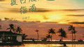 夏日浪漫指南专辑