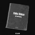 Fake Voice