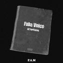 Fake Voice专辑