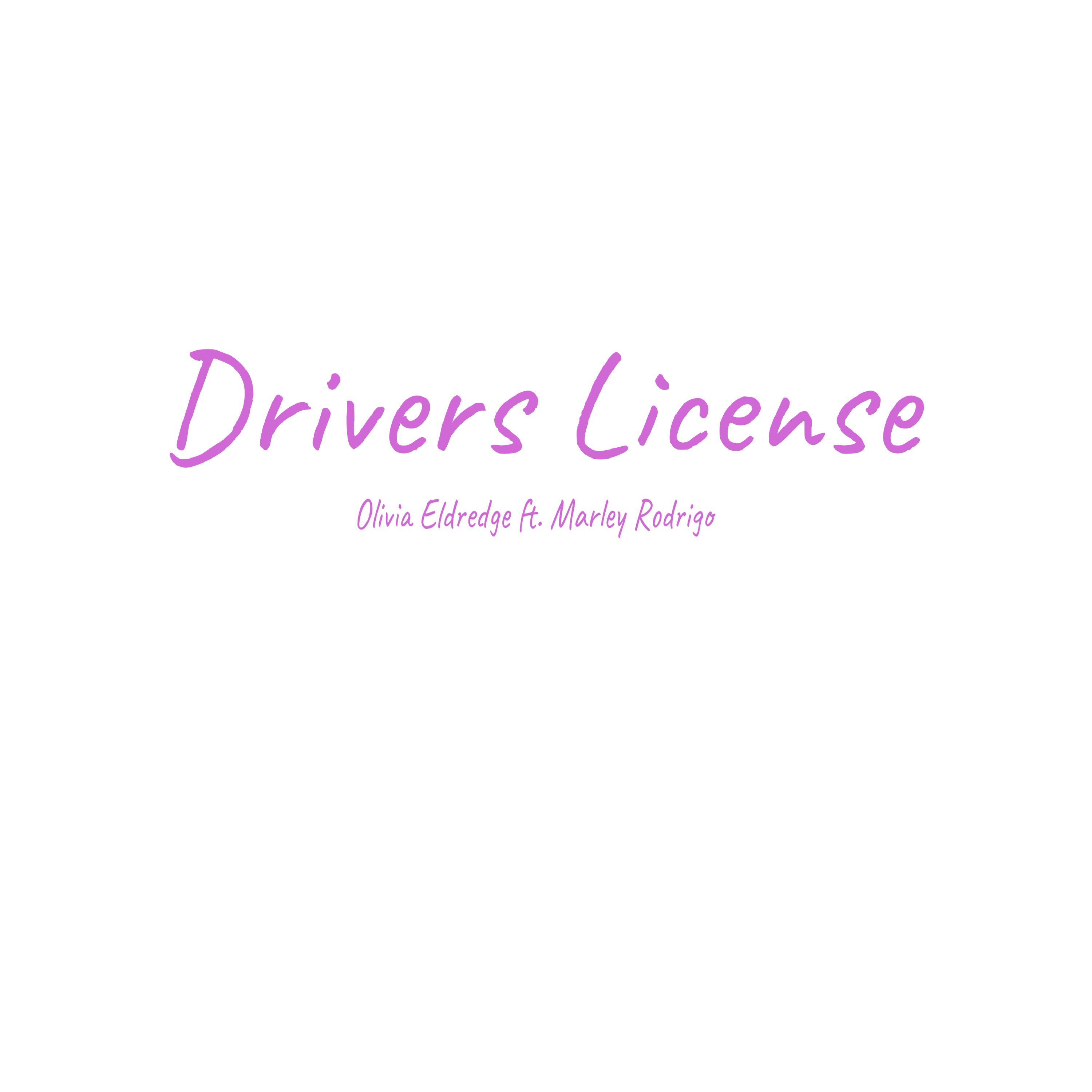 Drivers License