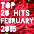 Top 20 Hits February 2015