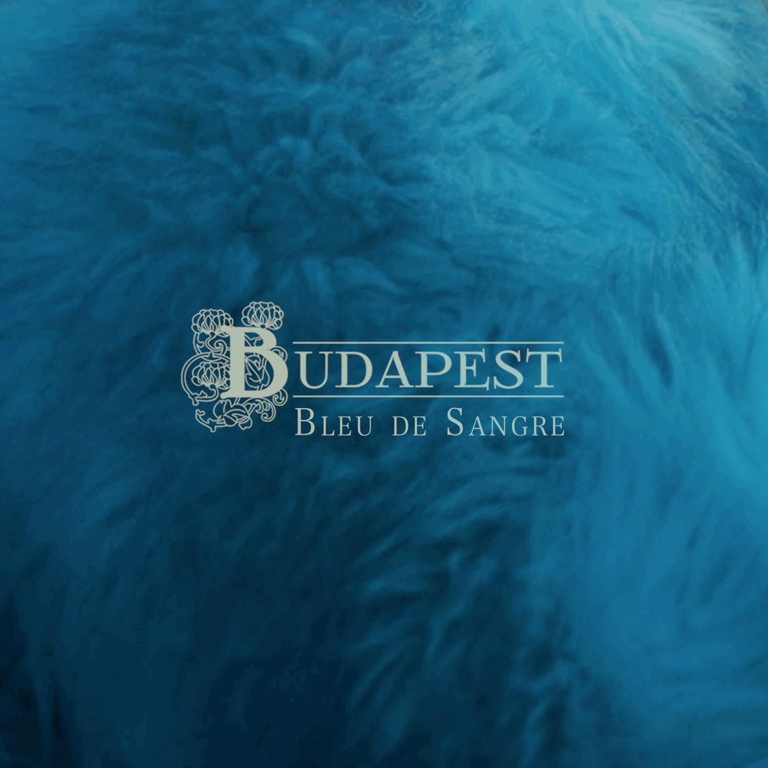 Bleu de sangre
