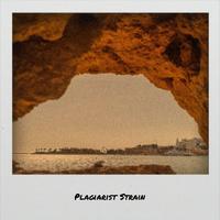 Plagiarist Strain