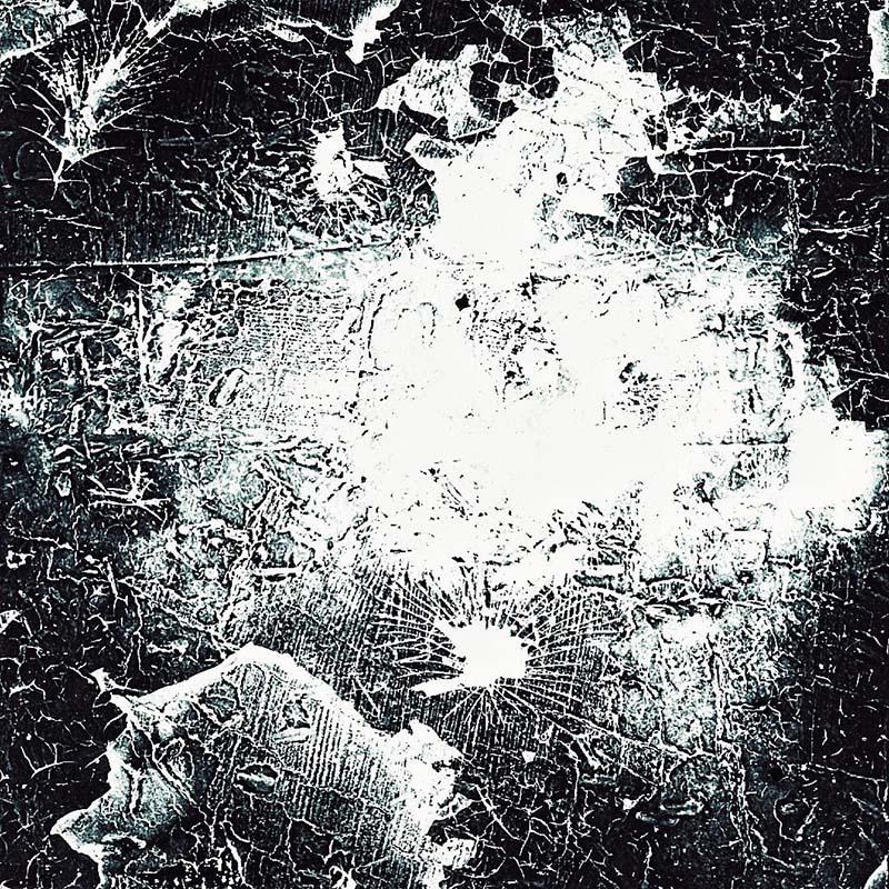 噪音精选|从《抖音最新（没有避风港也要坚强）》听起