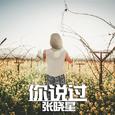 你说过