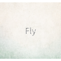 Fly