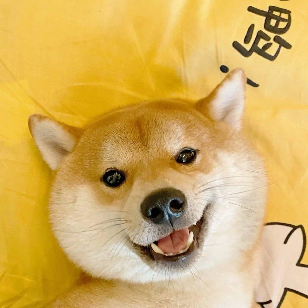 好听到可以单曲循环鸭✨