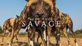 Savage专辑