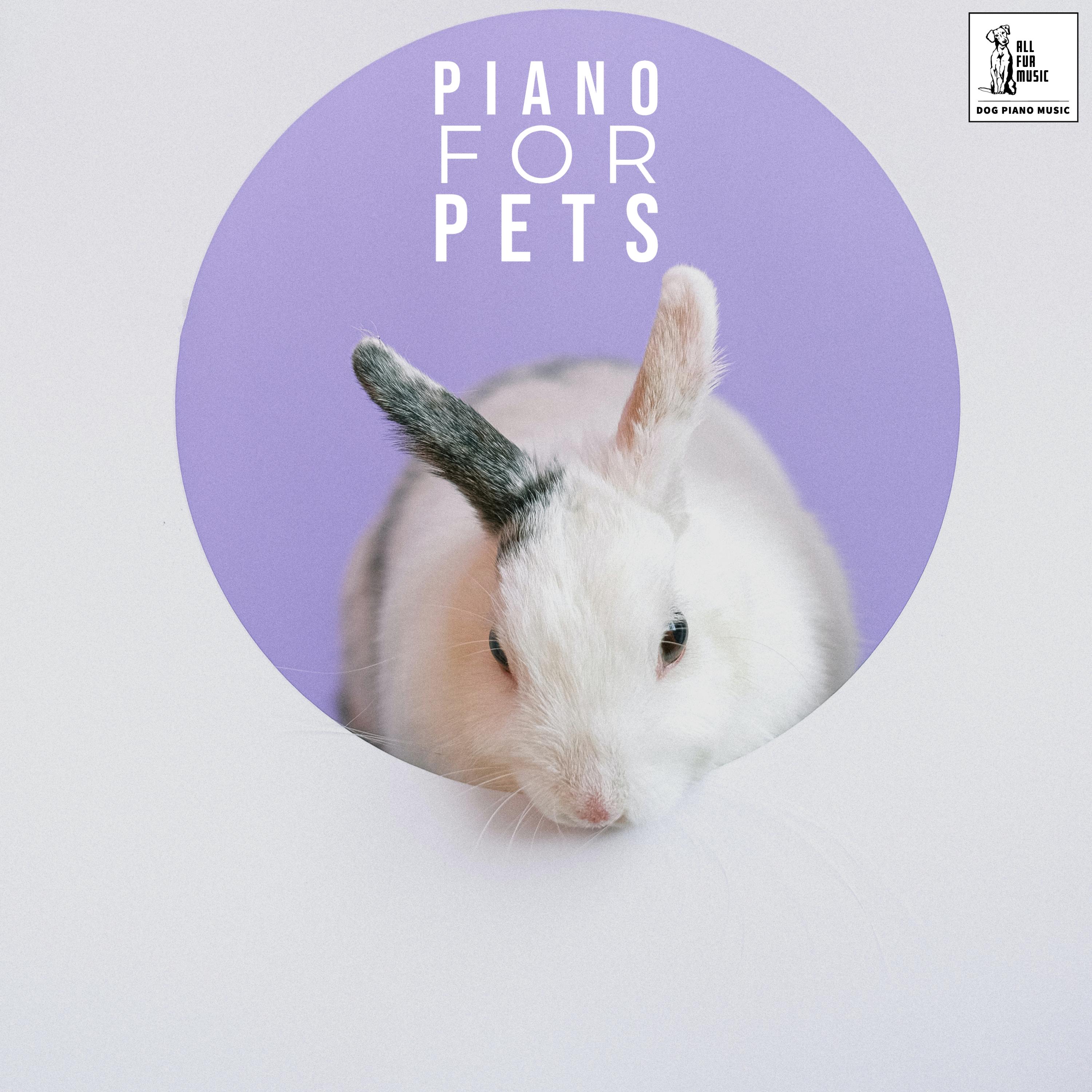 Piano For Pets