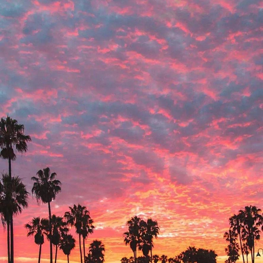 在你的身边（抖音版）