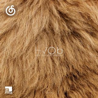 简约科技舞曲精选|从《Lion》听起