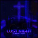 Lust night