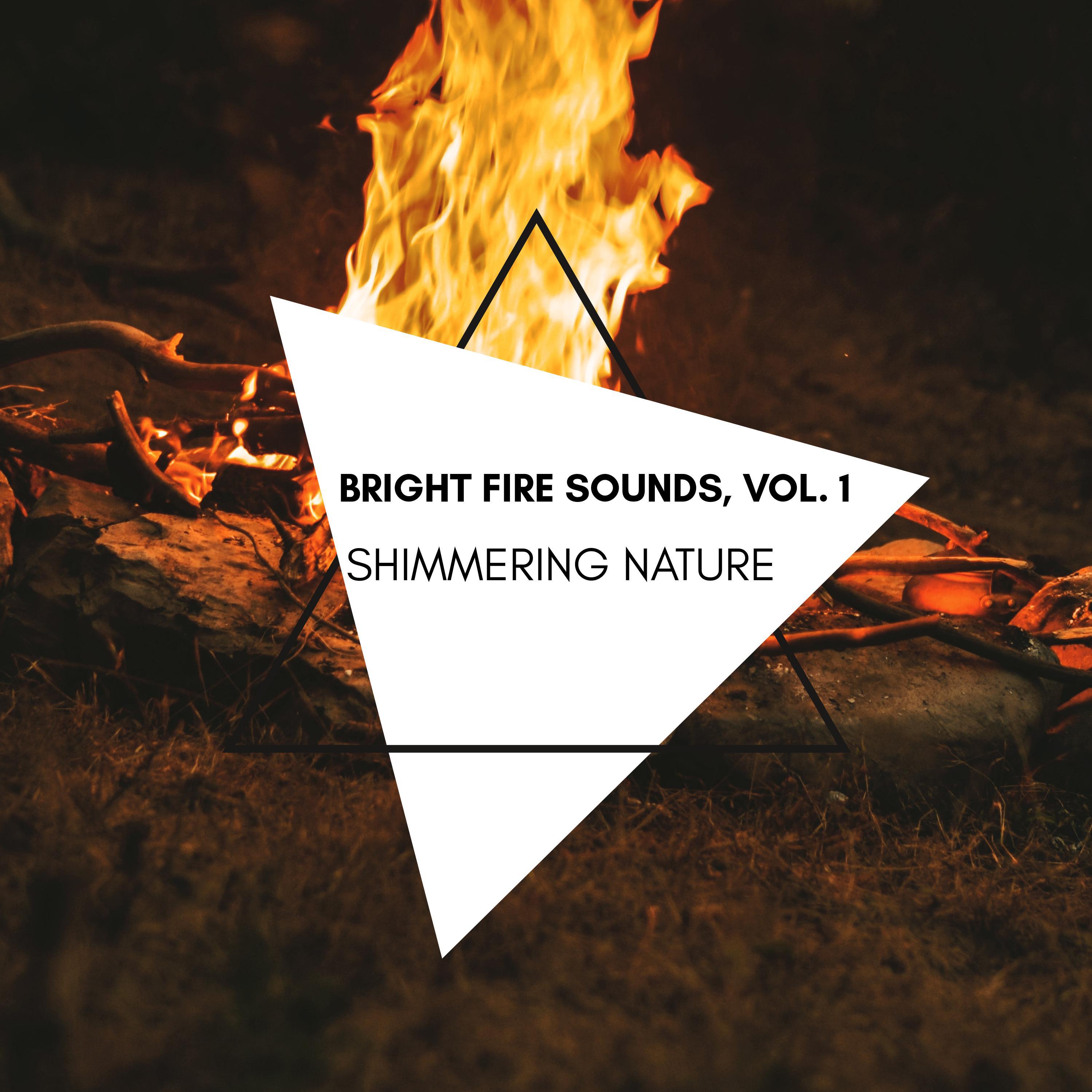 Burning Insects Nature Music - Nature Fire Sound