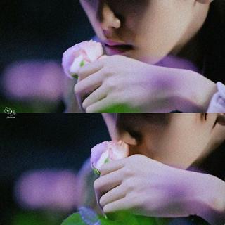 韩语小众゛迷情紫·折花异境