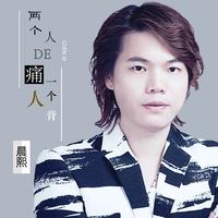 两个人的痛一个人背 (原版立体声)