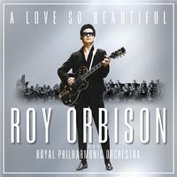 原版伴奏   Roy Orbison - I Drove All Night (karaoke)