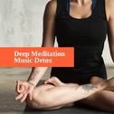 Deep Meditation Music Detox: 15 New Age Yoga & Relaxing Songs for Pure Meditation, Stress Relief, Ca专辑