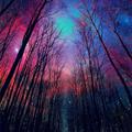 Colorful universe