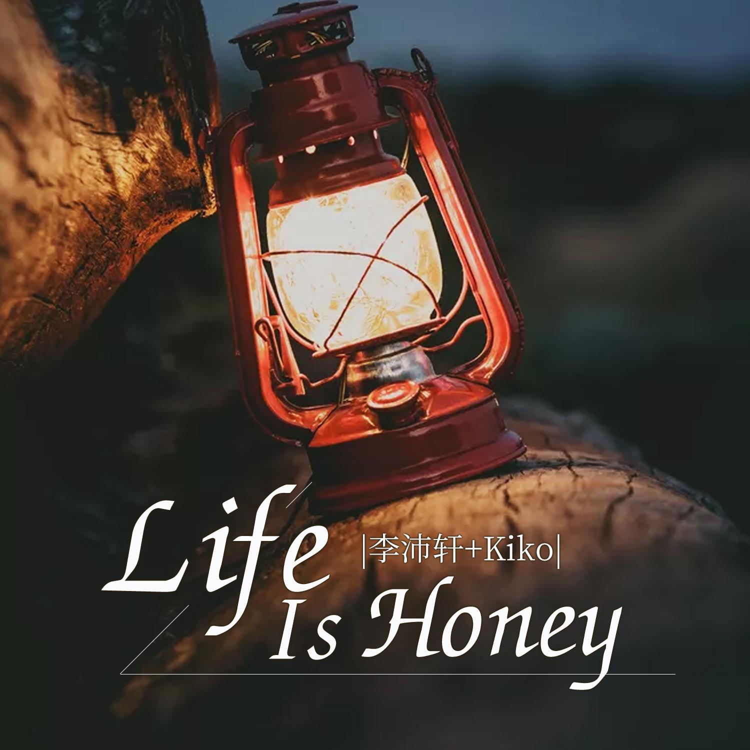 Life Is Honey专辑