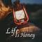 Life Is Honey专辑