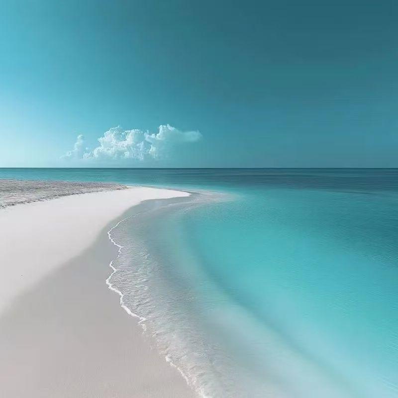 走自己的路 不管别人怎么说