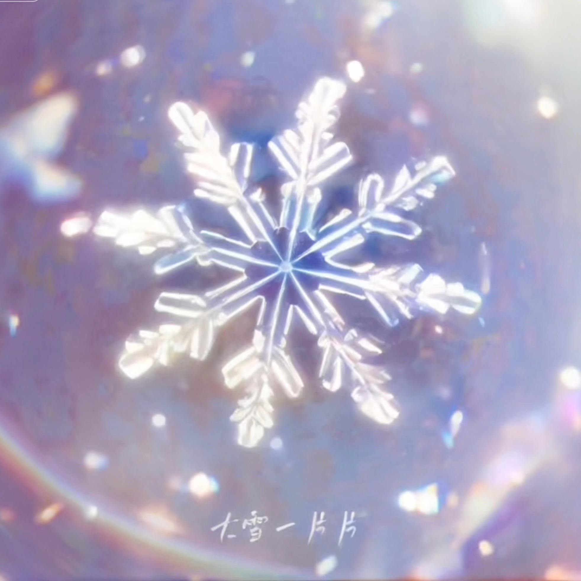 大雪一片片