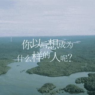 花儿与少年第三季BGM