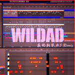 The Melody Of Night (WILDAD Remix)专辑