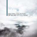 Beautiful Collection of Nature New Age Music专辑