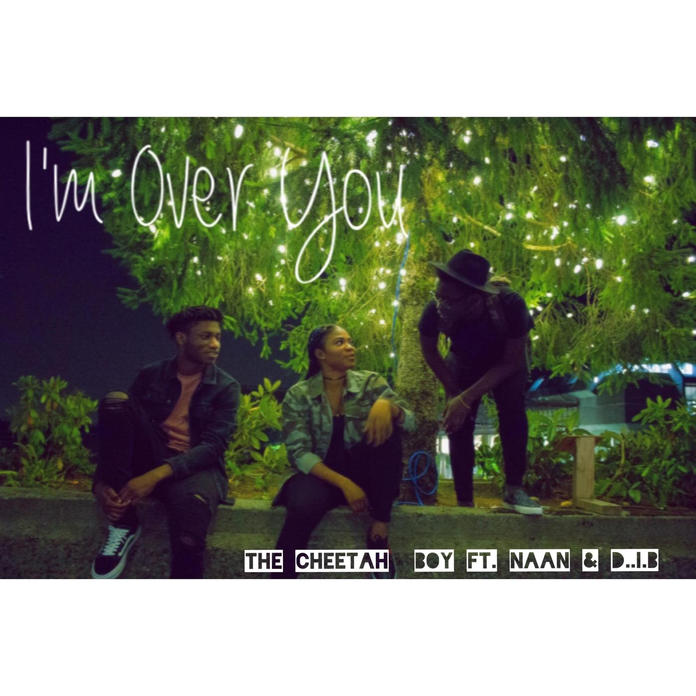 I'm over You (feat. Naan & D.I.B)