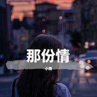 那份情