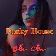 生而平凡 - 王富贵 (Funky House)