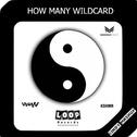 How Many Wildcard (Cindy Mashup)专辑