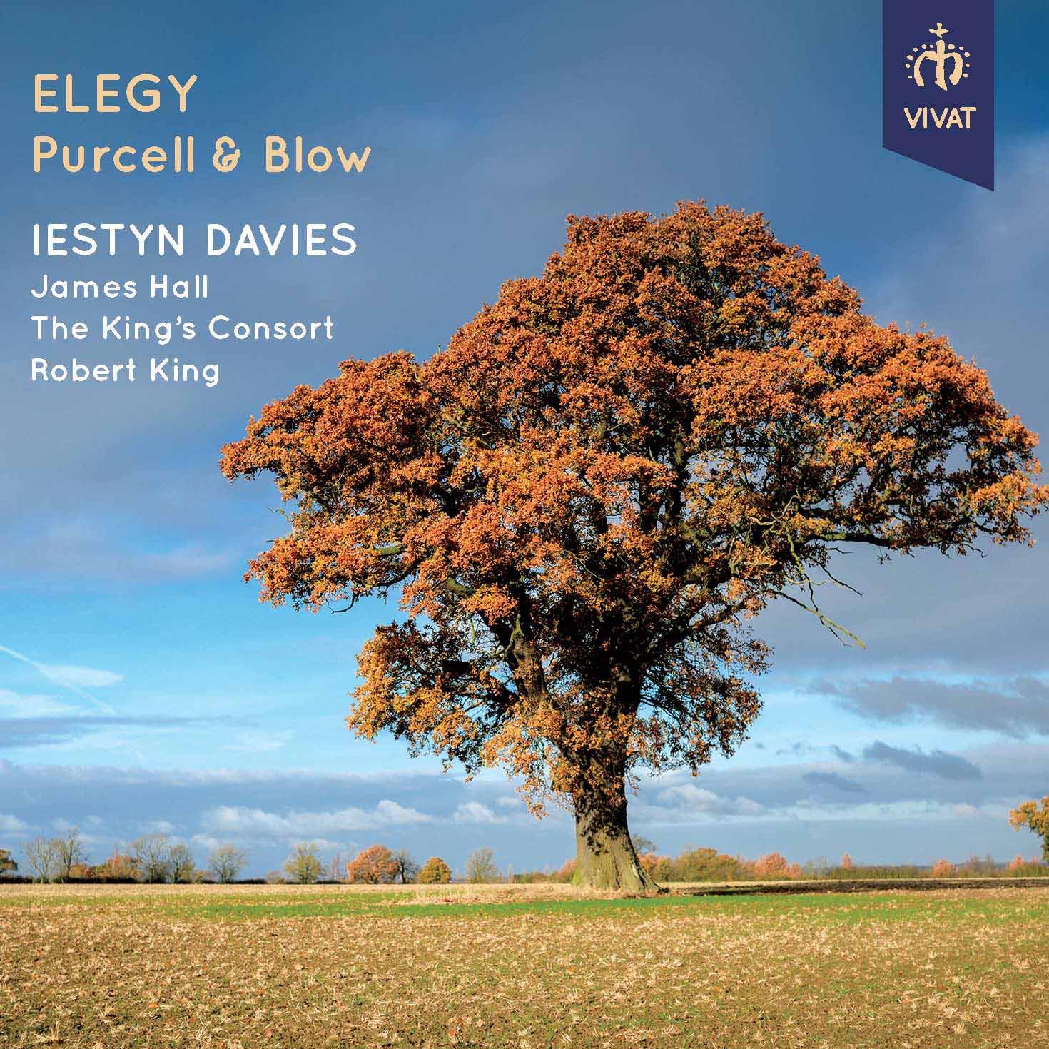 Elegy