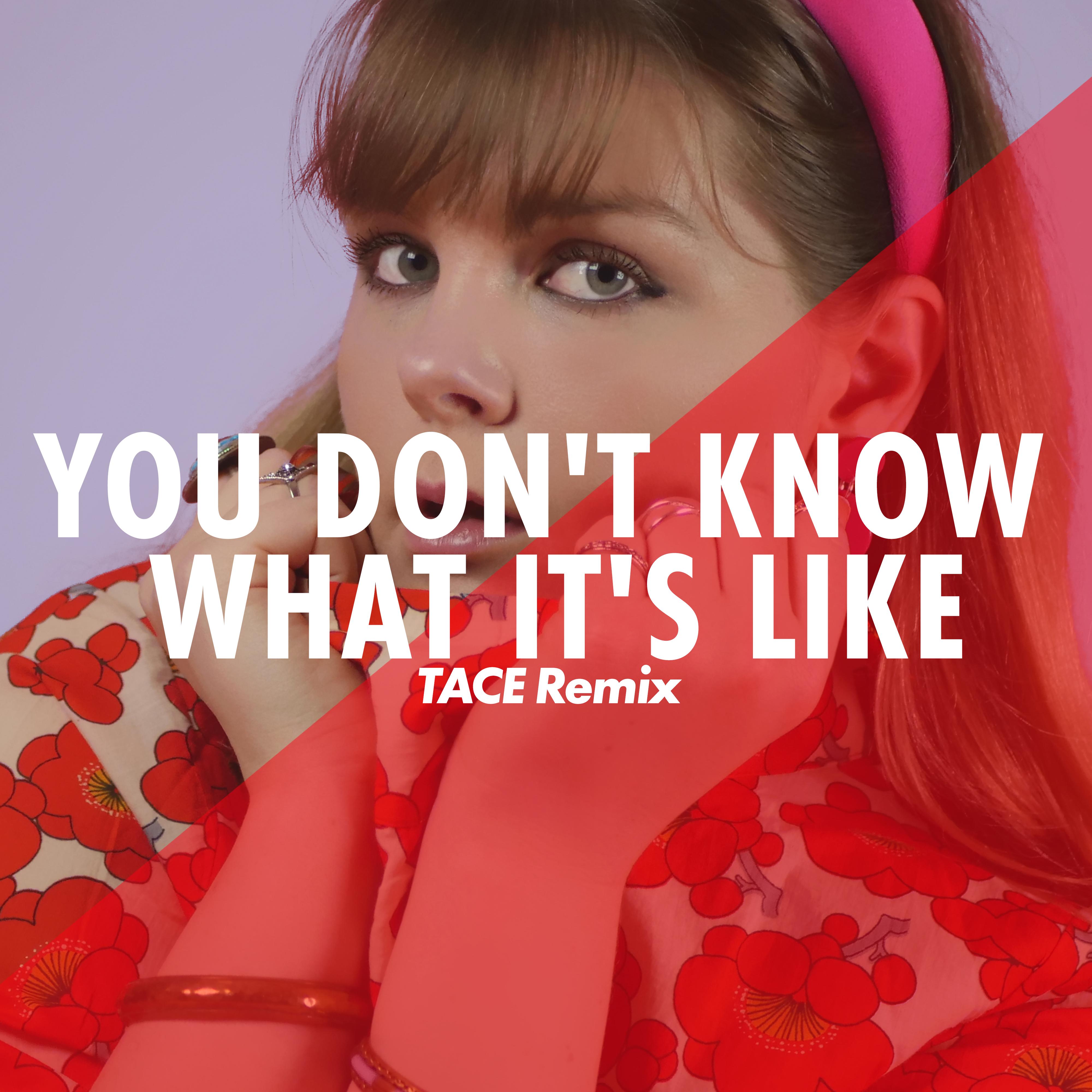 You Don't Know What It's Like [TACE Remix]
