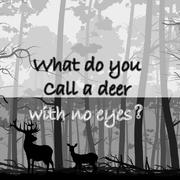 What do you call a deer with no eyes?