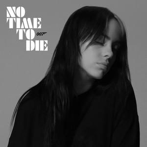 No Time to Die (From James Bond) - Billie Eilish (BB Instrumental) 无和声伴奏 （升8半音）