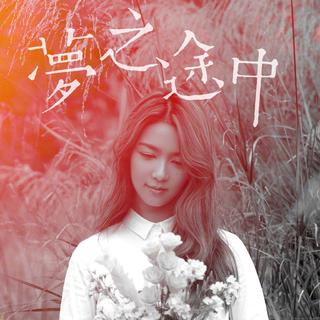 薛凯琪 梦之途中音乐纪（歌单）