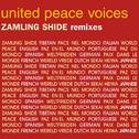 Zamling Shide (The Remixes)