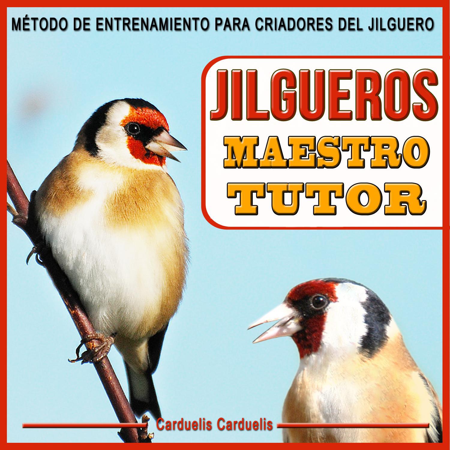 Jilgueros Maestro Tutor. Método de Entrenamiento Para Criadores del Jilguero. Carduelis Carduelis专辑