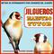 Jilgueros Maestro Tutor. Método de Entrenamiento Para Criadores del Jilguero. Carduelis Carduelis专辑