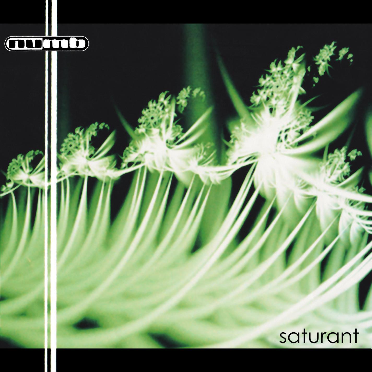 Saturant