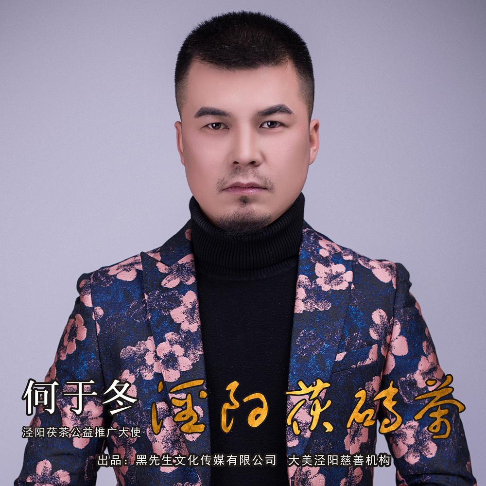 泾阳茯砖茶 何于冬 单曲 网易云音乐