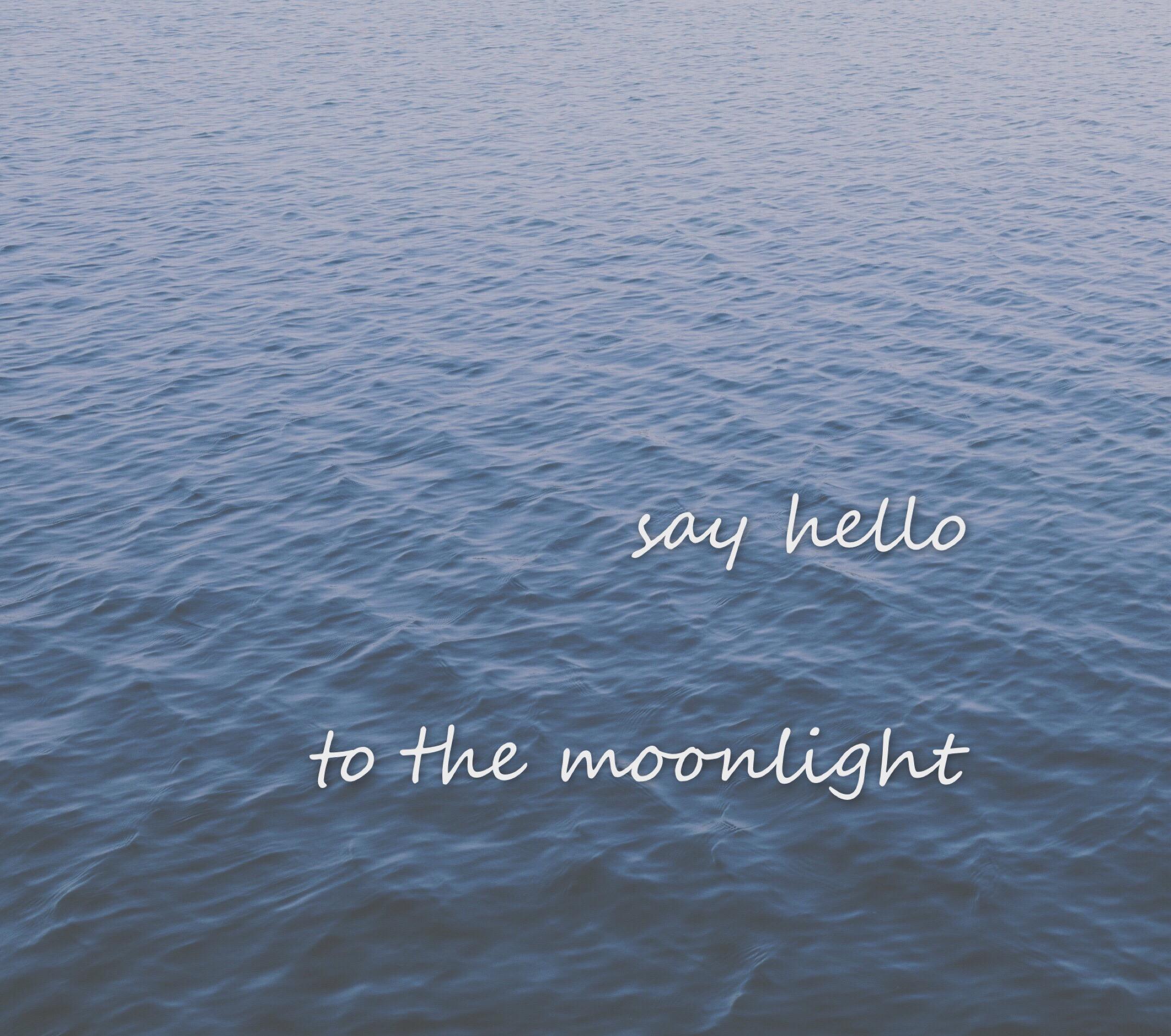 say hello to the moonlight专辑