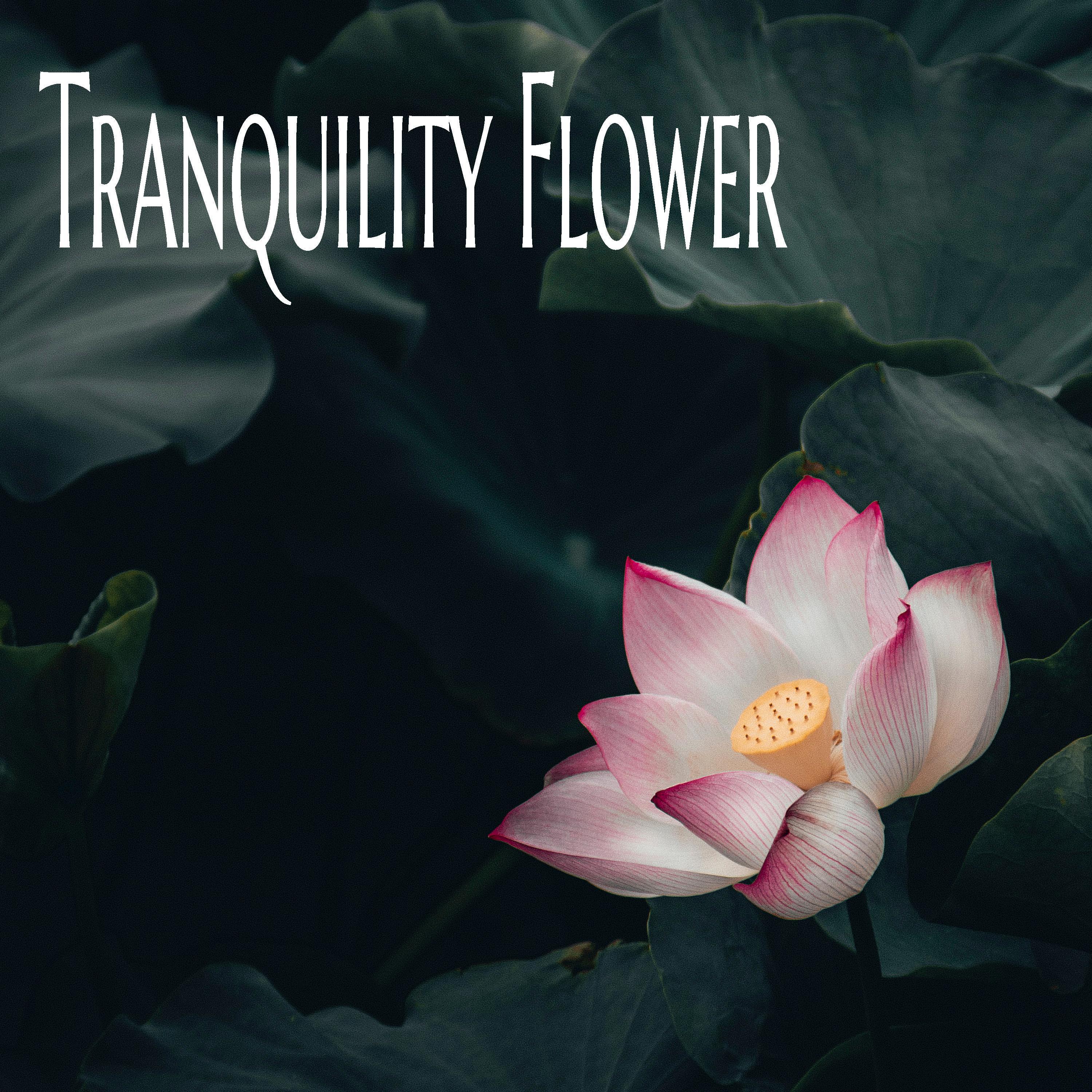 Tranquility Flower