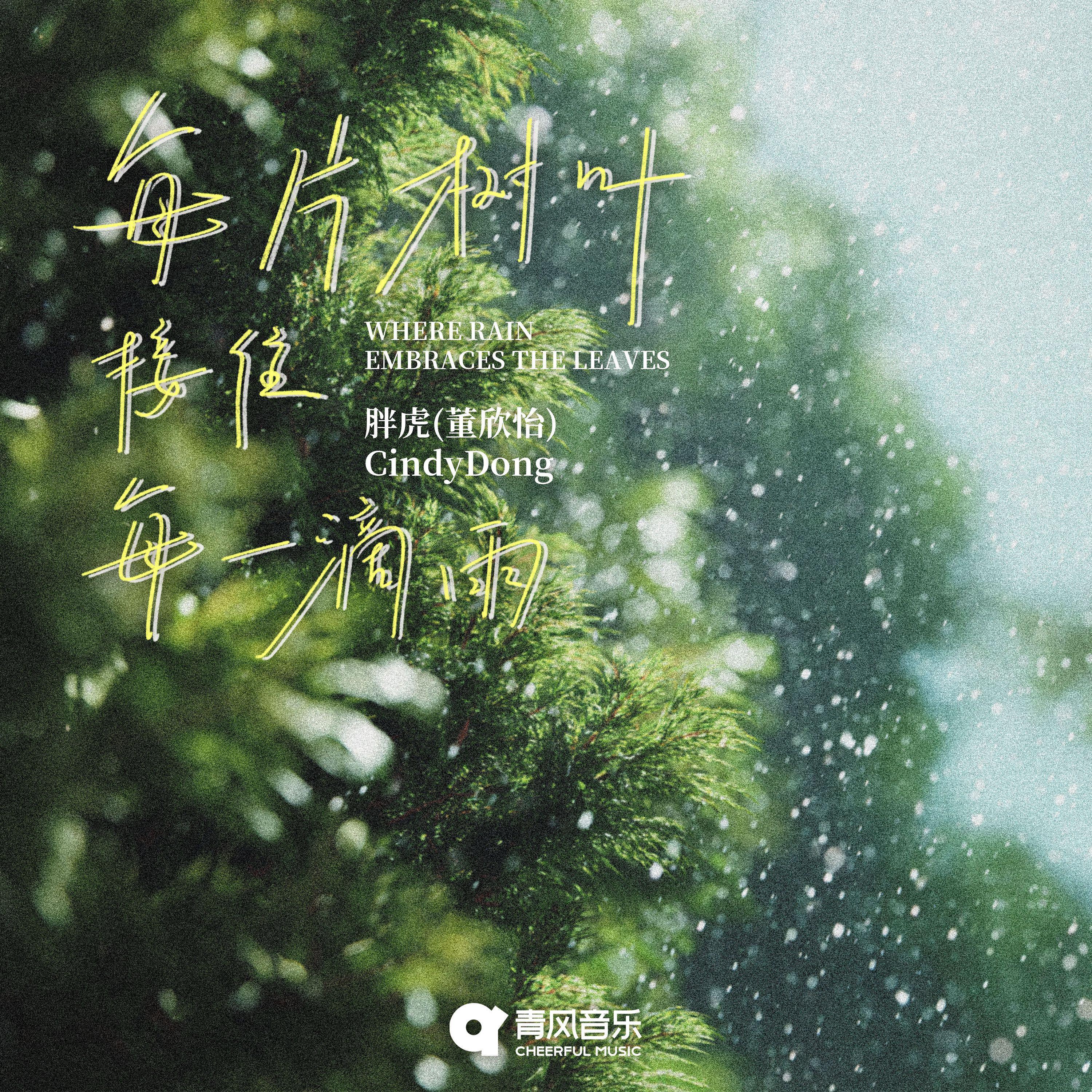 每片树叶接住每一滴雨