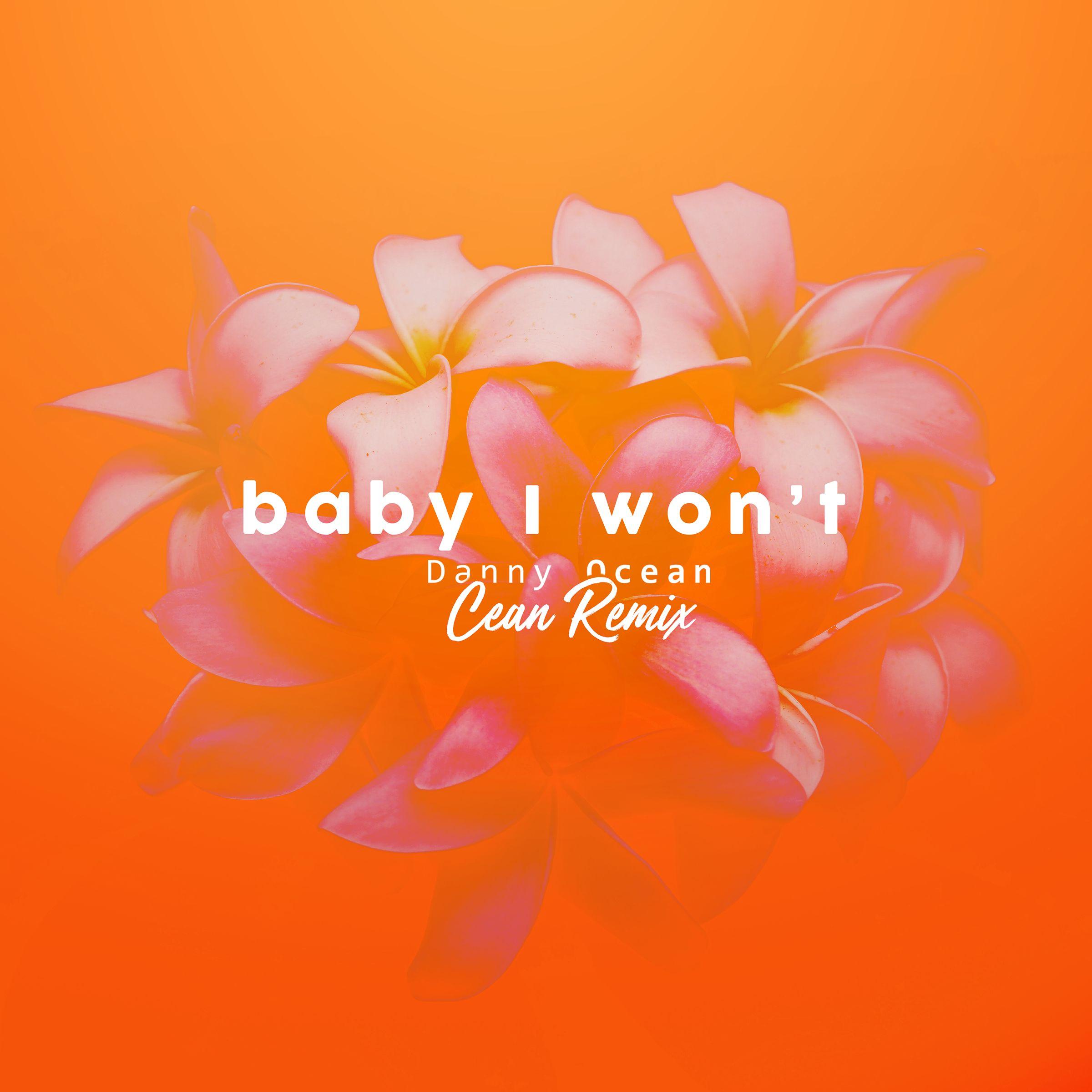 Baby I Won't (Cean Remix)